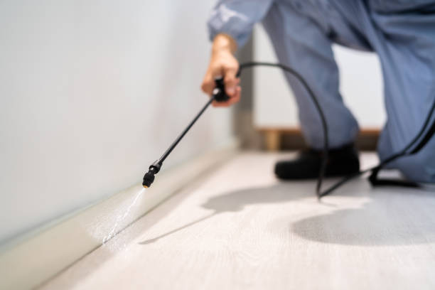 Licensed Mosquito Control service in Winfield, IL - Show Me Pest Control