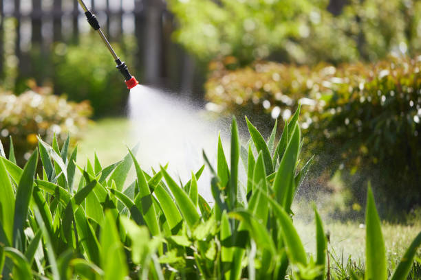24/7 Emergency Mosquito Control experts in Winfield, IL