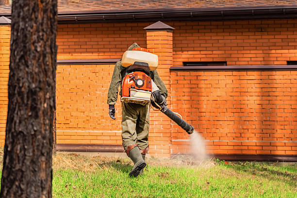 Top rated local Mosquito Control specialists in Winfield, IL